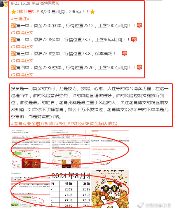2025年新澳今晚资料与澳门管家婆100%精准,精选解析、解释与落实