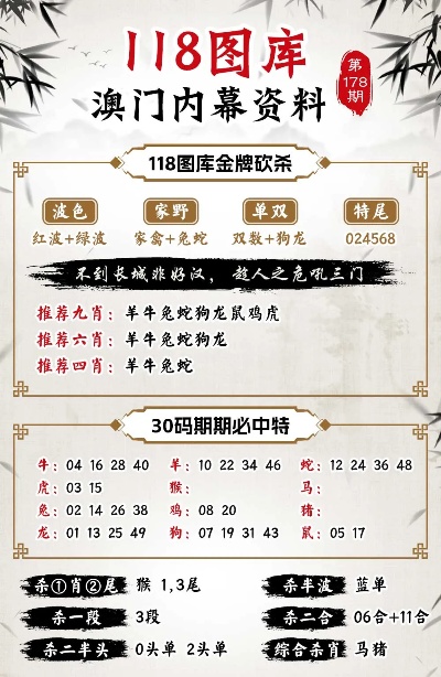 澳门管家婆100%精准,详细解答、解释与落实-警惕虚假宣传-详细解答、解释与落实